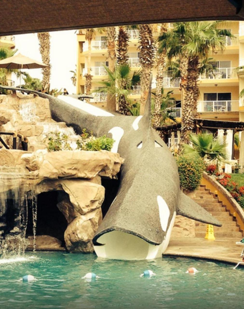 Suites At Villa Del Palmar Cabo San Lucas Beach Resort And Spa 外观 照片